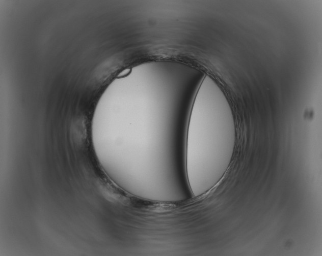 X0000090990128200708021212