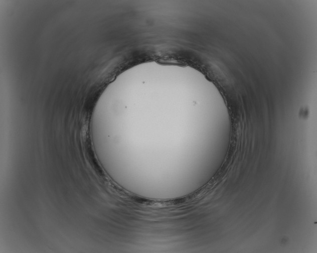 X0000090990129200708021212