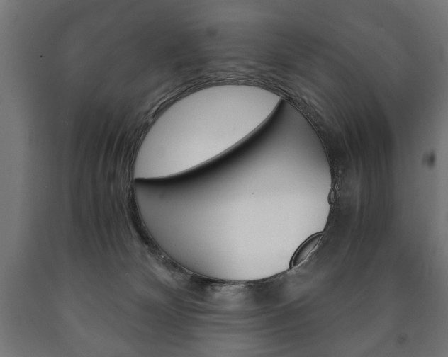 X0000090990132200708021212