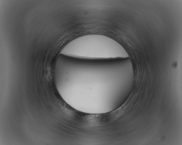 X0000090990136200708021212