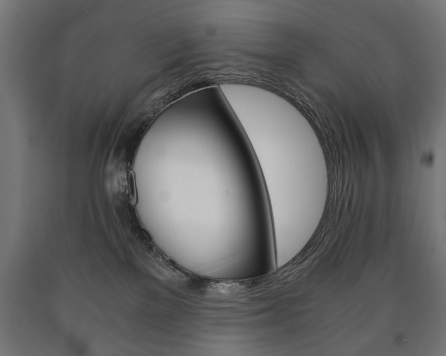 X0000090990137200708021212