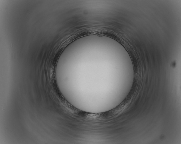 X0000090990139200708021212