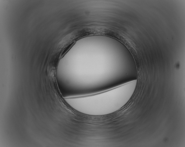 X0000090990141200708021212