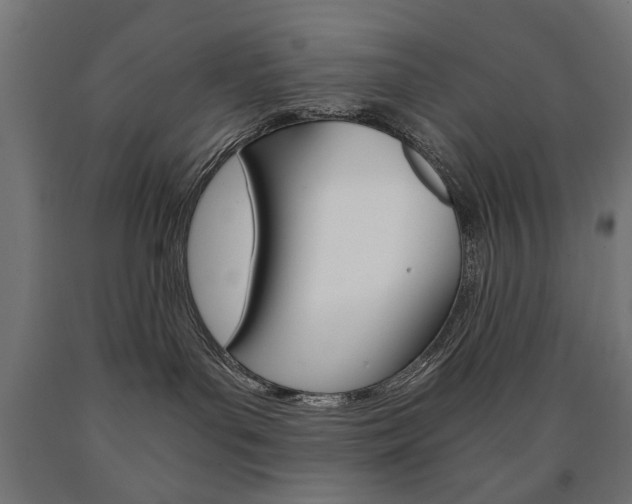 X0000090990143200708021212