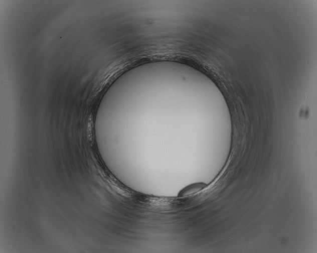 X0000090990144200708021212