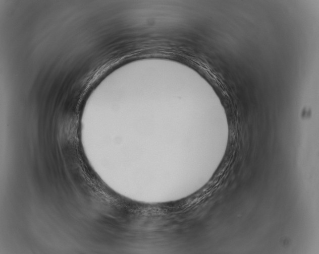 X0000090990146200708021211