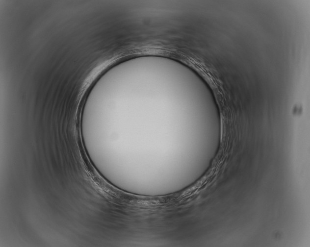 X0000090990147200708021211