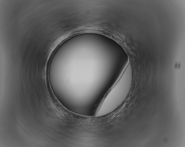 X0000090990148200708021211