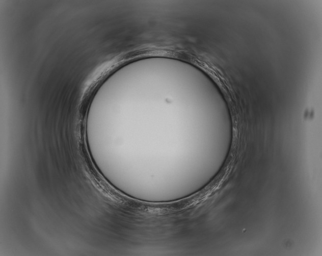 X0000090990149200708021211