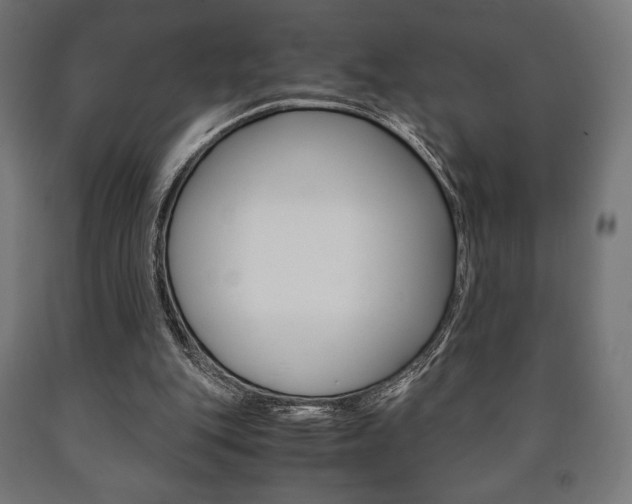 X0000090990151200708021211