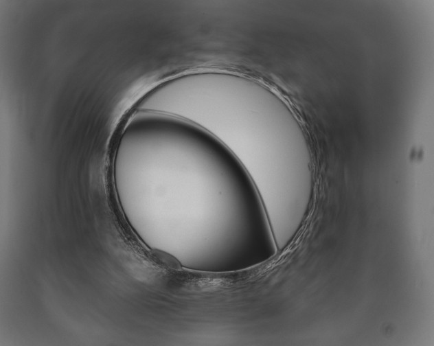 X0000090990152200708021211