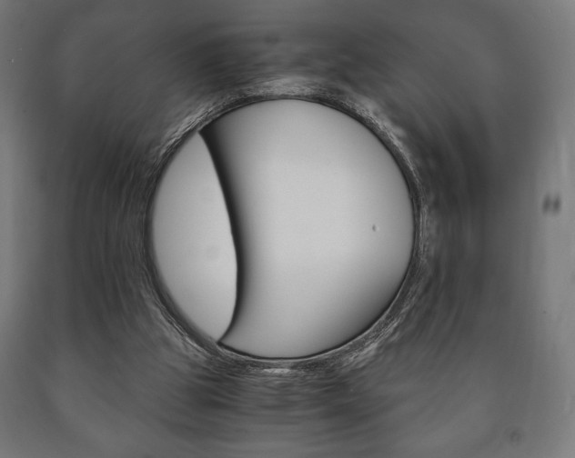 X0000090990153200708021211