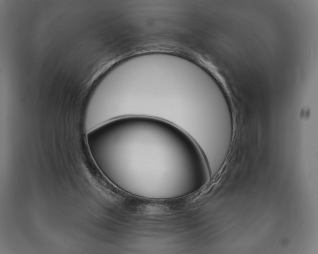 X0000090990154200708021211