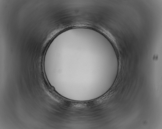 X0000090990155200708021211