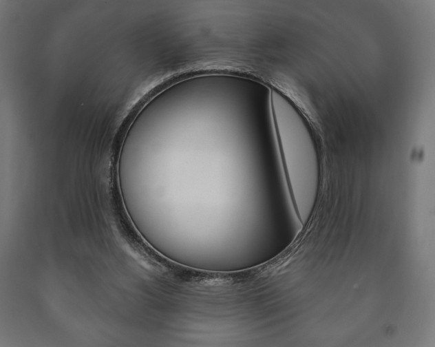 X0000090990156200708021211
