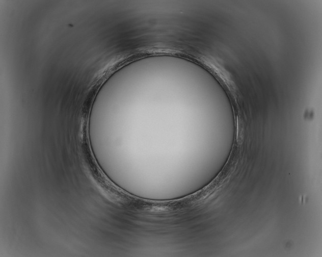X0000090990157200708021211