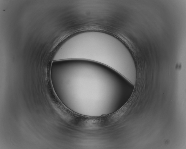 X0000090990158200708021211