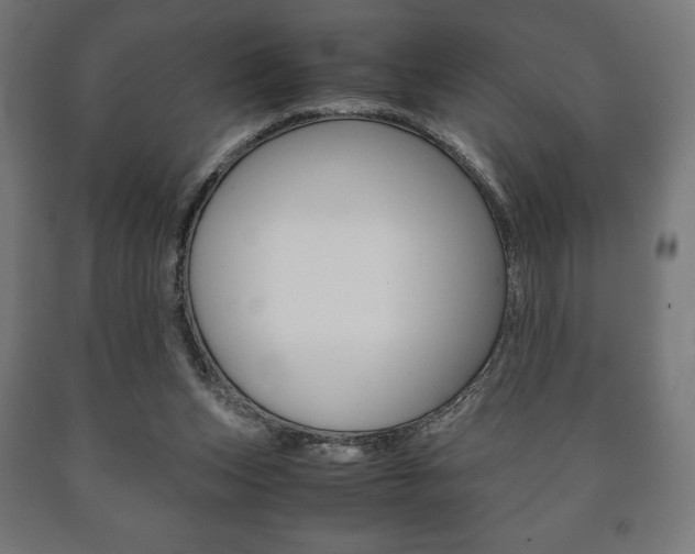X0000090990159200708021211