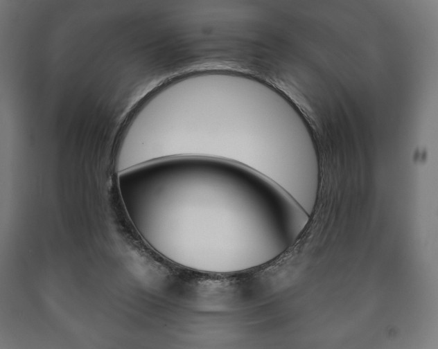 X0000090990160200708021211