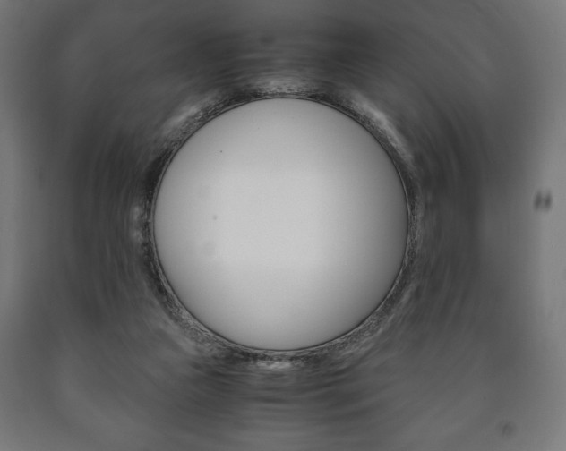 X0000090990161200708021211