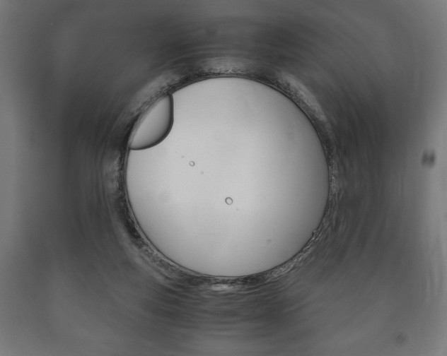 X0000090990163200708021211