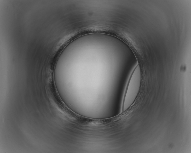 X0000090990164200708021211