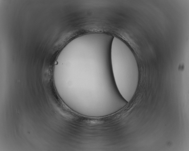 X0000090990165200708021211