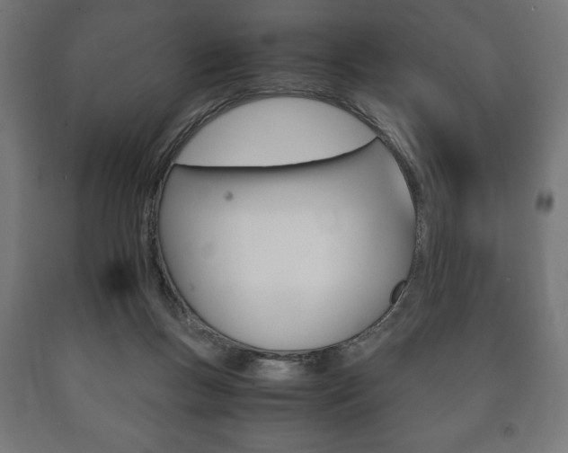 X0000090990167200708021211