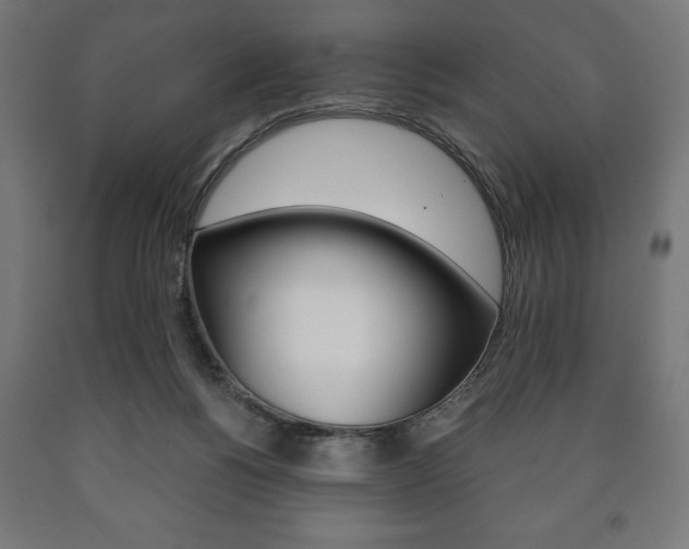 X0000090990168200708021211