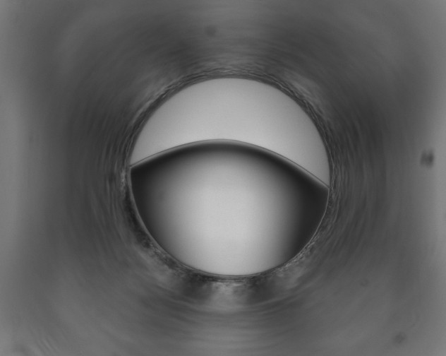 X0000090990172200708021211