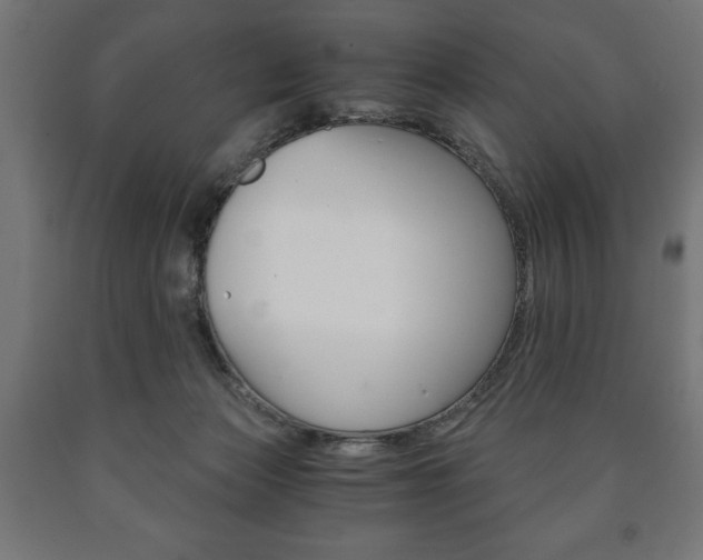 X0000090990173200708021211