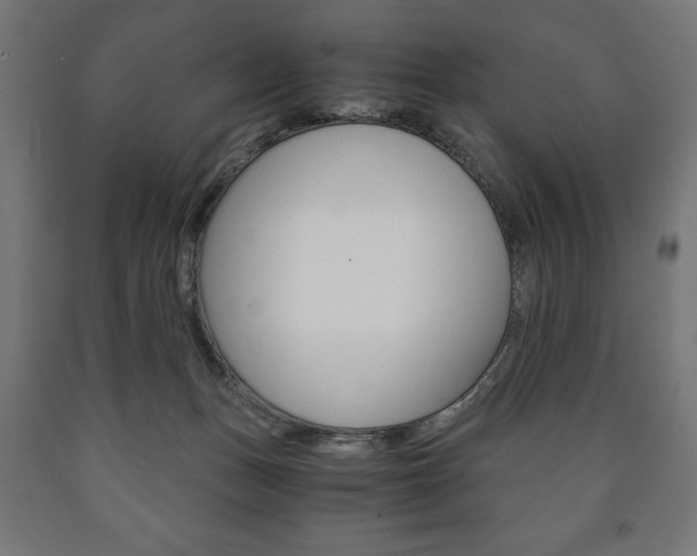 X0000090990175200708021211