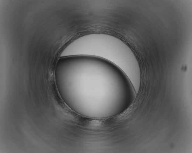 X0000090990176200708021211