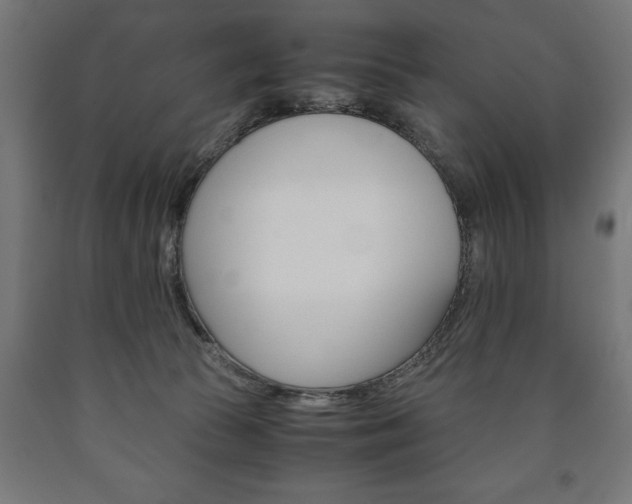 X0000090990177200708021211
