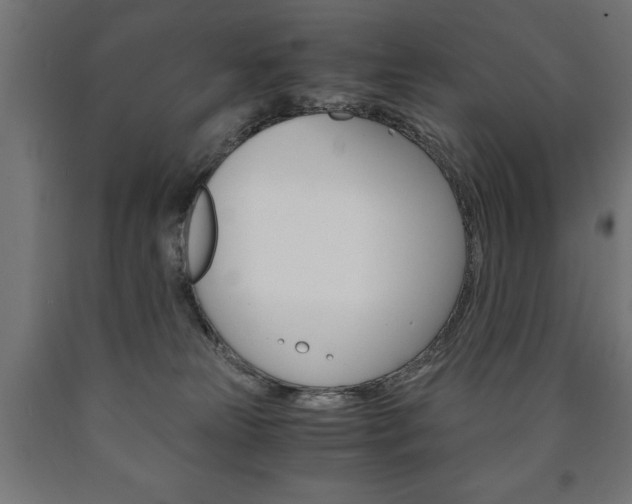 X0000090990181200708021212