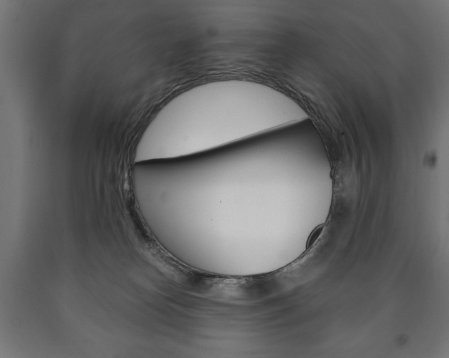 X0000090990182200708021212