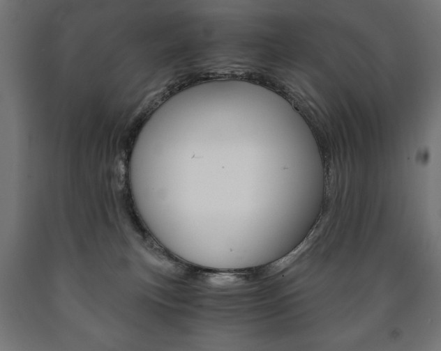 X0000090990183200708021212