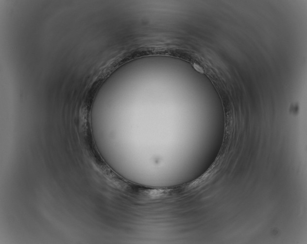 X0000090990184200708021212