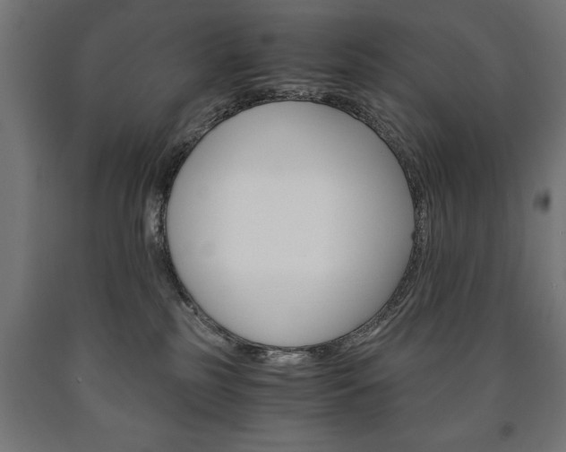 X0000090990185200708021212