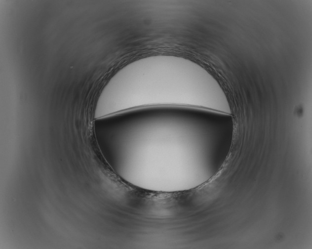 X0000090990186200708021212