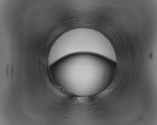 X0000090990188200708021212