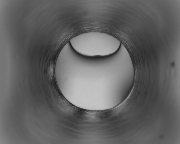 X0000090990190200708021212