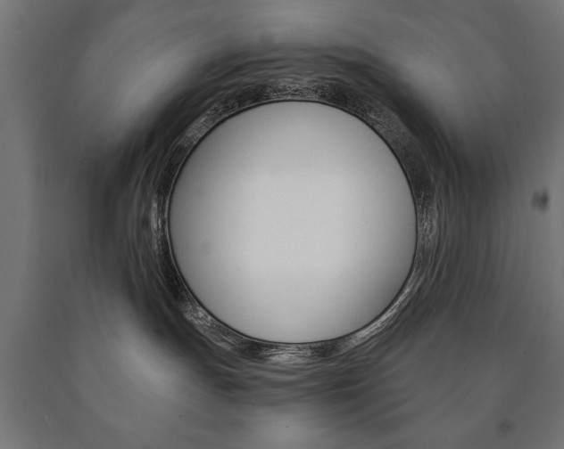 X0000090990191200708021212