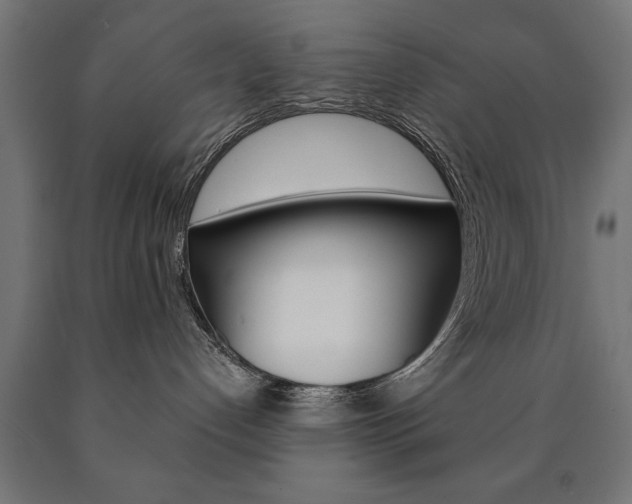 X0000090990192200708021212
