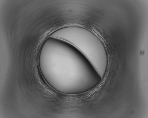 X0000090990193200708021211