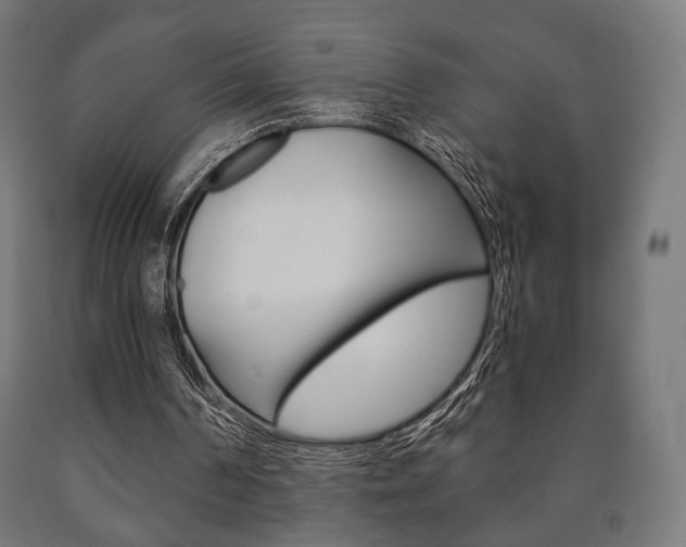 X0000090990194200708021211