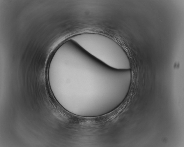 X0000090990196200708021211