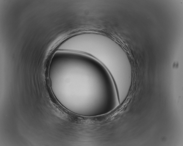 X0000090990197200708021211