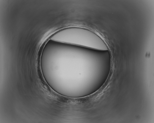X0000090990199200708021211