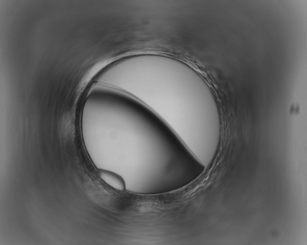 X0000090990200200708021211
